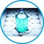 Magnetic stirrer maxMIX