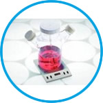 Magnetic stirrer for cell cultures with internal control bioMIX 1