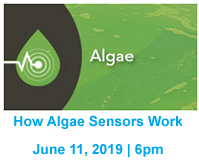 how-algae-sensors-work.jpg