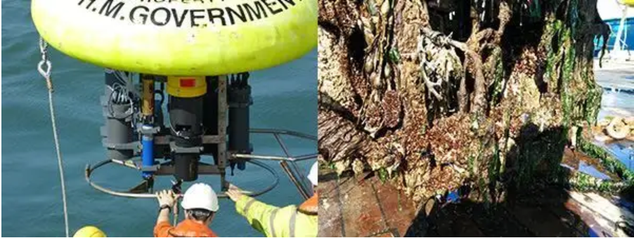 Top 10 Multiparameter Sonde Tips for Marine Water Quality Monitoring