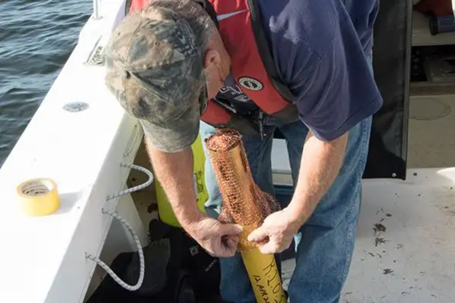 Top 10 Multiparameter Sonde Tips for Marine Water Quality Monitoring