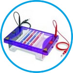 Gel electrophoresis tank MultiSUB Choice