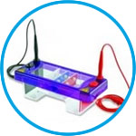 Gel electrophoresis tank MultiSUB Mini