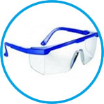 LLG-Safety Eyeshields classic