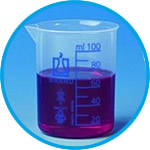 Beakers, PP, low form