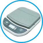 Electronic letter scale