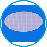 Membrane filters Type 130, cellulose nitrate