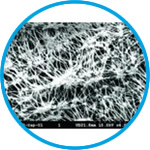 Membrane filters, Grade TE, PTFE with support