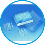 Micro test tubes, PP, strips of 8