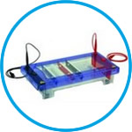 Gel electrophoresis tank MultiSUB Choice Stretch