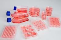 Cell culture dishes Nunclon™ Sphera™