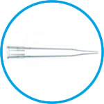 Pipette tips Finntip 300