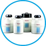 Bio-Cane Canister and Cane Systems