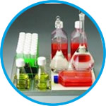 Adhesive Flask Mat for MaxQ / MaxQ HP Shakers