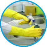 Cryogenic Boxes true north® Flatpack, PP Film