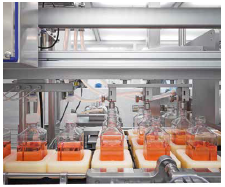 Biological Buffers and pH Control