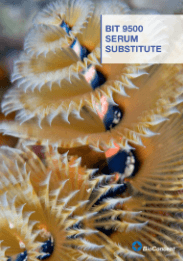 Cell Culture Serum Brochure