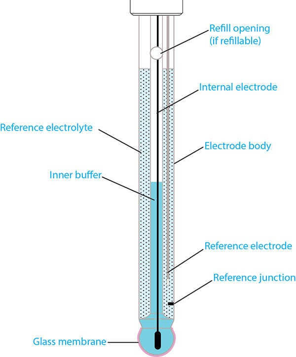 Structure of a Typical pH Electrode