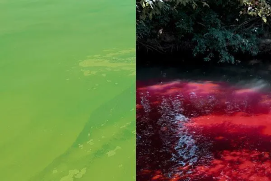 Selecting Your Water Quality Instrument - 5 Essential Questions