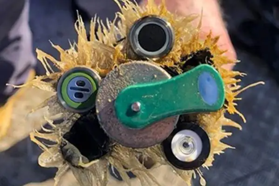 Selecting Your Water Quality Instrument - 5 Essential Questions