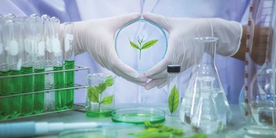 Sustainable Science: The Crucial Role of Sustainability in Laboratory Research