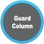 Guard Column
