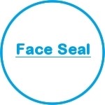 Face Seal