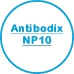 Antibodix NP10