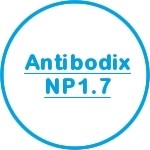 Antibodix NP1.7