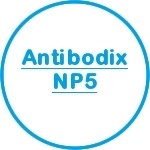 Antibodix NP5