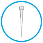 Pipette Tips and Filter Tips