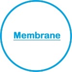 Membrane