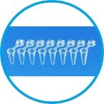 PCR tubes strips, with attached individual caps, PP