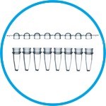 LLG-PCR-Tubes, 8 Strips, PP