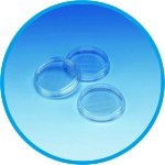 Petri Dishes Sterilin", contact plate with grid, PS