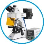 Fluorescence microscopes Professional Line OBN 14