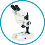Stereo microscopes with illumination SMZ-160 series