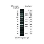 DNA ladder 1Kb 