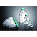 Guangzhou JET Bio-Filtration Tissue Culture Flasks 600 ml, PS TCF011600