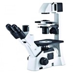 MOTIC Inverted Microscope AE31E 1100100200565