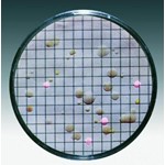 Sartorius Lab Nutrient pads Tergitol TTC, 47 mm, pack of 100 14056--47------N