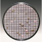 Sartorius Lab Nutrient carton discs Chapman 47 mm, PU=100 14074--47------N