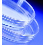 Sterilin Petri-Dishes 90 X 162mm 101V/IRR