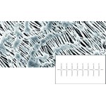 Sartorius Membrane Filters 11806-25-N 11806-25-N