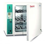 Thermo CO2 Incubator BBD 6220 51020241