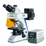 Fluorescence Microscope Trinocular Inf