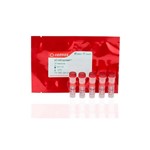 Canvax pColiExpress™ II LIC Cloning & Expression Kit BE005-S