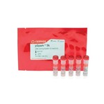 Canvax pSpark® TA DNA Cloning Kit C0020-S