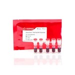 Canvax Horse-Power™ Red-Taq DNA Polymerase P0027-S