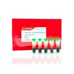 Canvax Horse-Power™ Green-Taq DNA Polymerase P0029-S